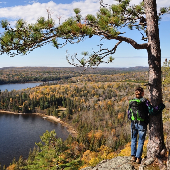 Meet your Posher, Sage - Picture 2 of 2